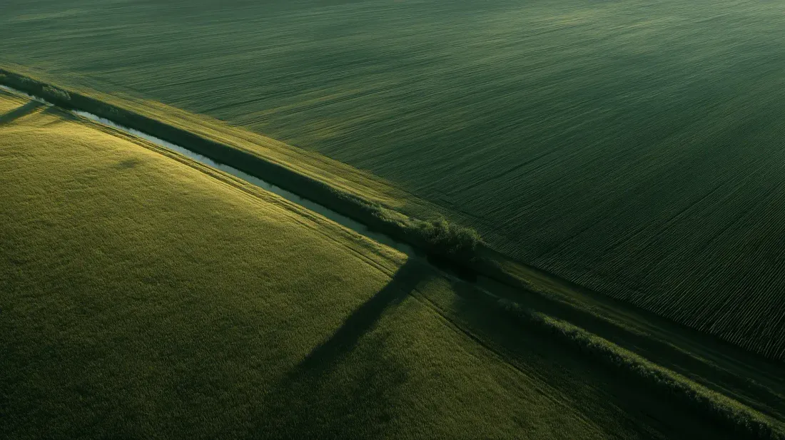 Agriculture & Environmental